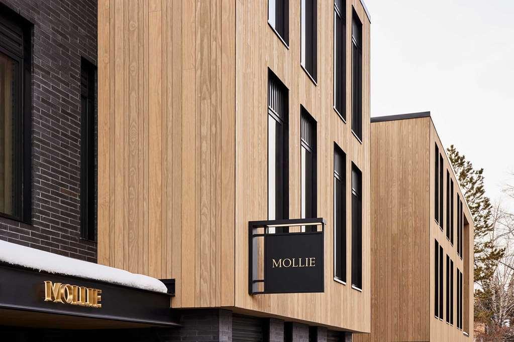 Mollie Aspen Hotel Ngoại thất bức ảnh